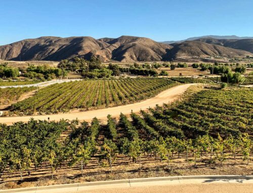 Green Card Attorney in Temecula, CA