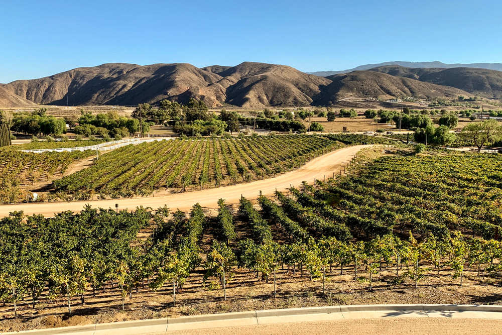 Green Card Attorney in Temecula, CA